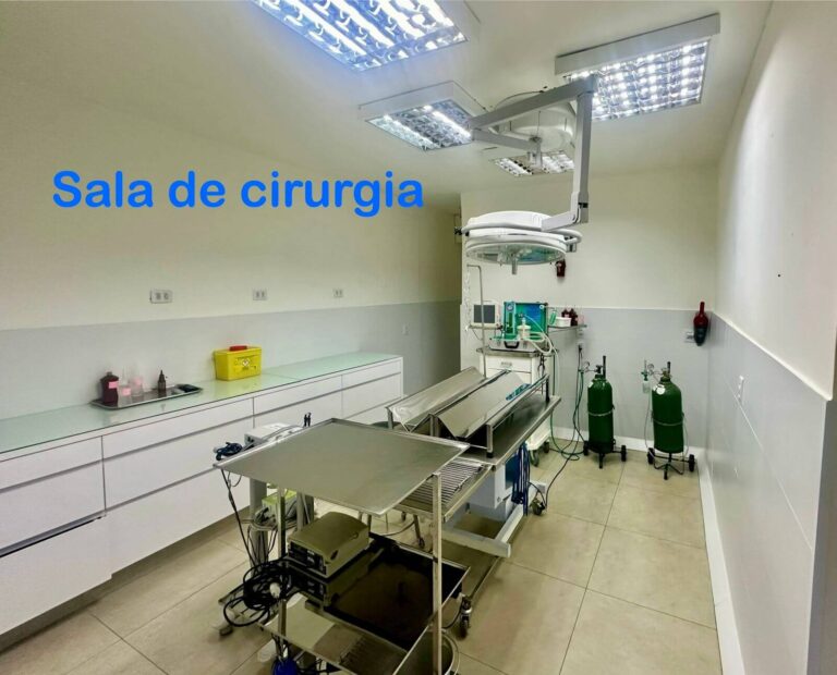 Imagem do WhatsApp de 2025-09-03 à(s) 12.04.56_22cd7a24